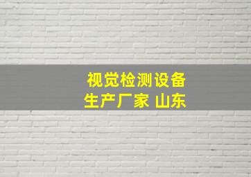 视觉检测设备生产厂家 山东